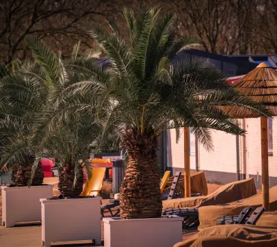 Camping Wedderbergen