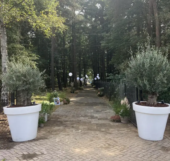 Boomverhuur Bloom